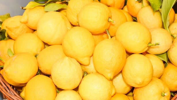 original italian lemons freshly picked as background