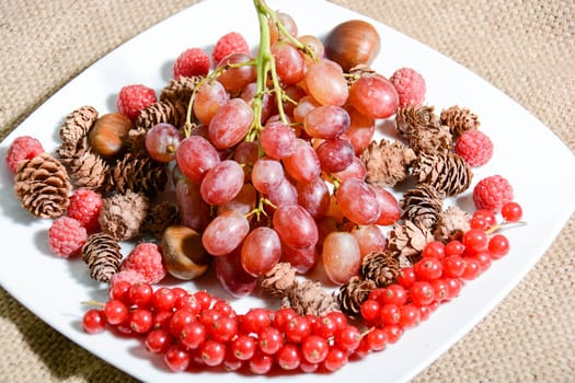 winter fruits freshly picked from Italian countryside