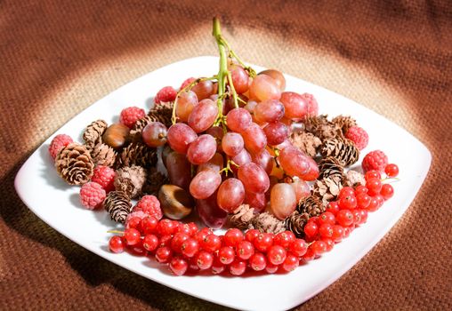 winter fruits freshly picked from Italian countryside