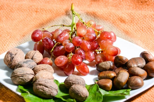 winter fruits freshly picked from Italian countryside