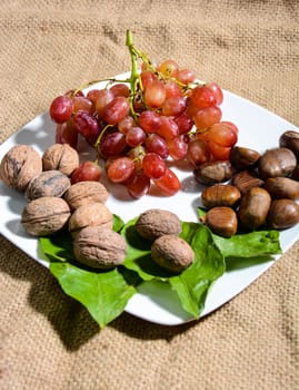 winter fruits freshly picked from Italian countryside