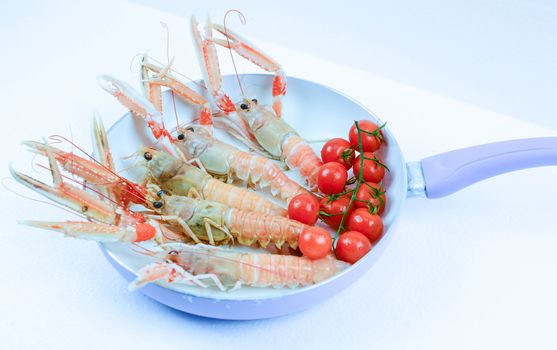 scampi italian and mediterranean shellfishes