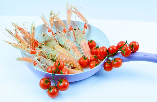 scampi italian and mediterranean shellfishes