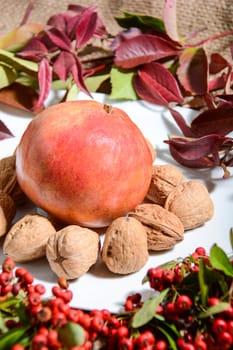 winter fruits freshly picked from Italian countryside