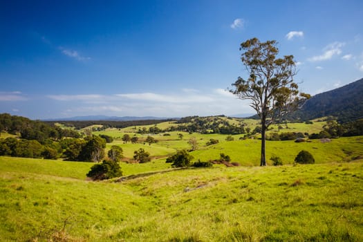 View of landscape around Tilba and Little Dromedary in New South Wales, Australia