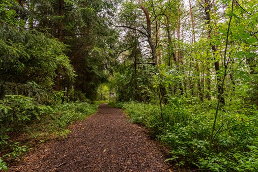 The beautiful nature reserve Wilhelmsdorf Pfrunger Ried in Upper Swabia near Ravensburg and Lake Constance