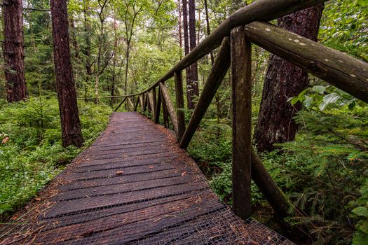 The beautiful nature reserve Wilhelmsdorf Pfrunger Ried in Upper Swabia near Ravensburg and Lake Constance