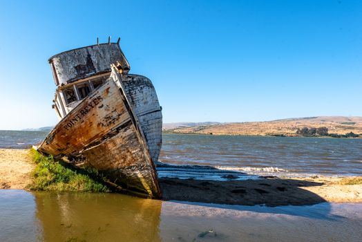 Shipwreck near Point Reyes National Seashore, Northern California. Copy Space