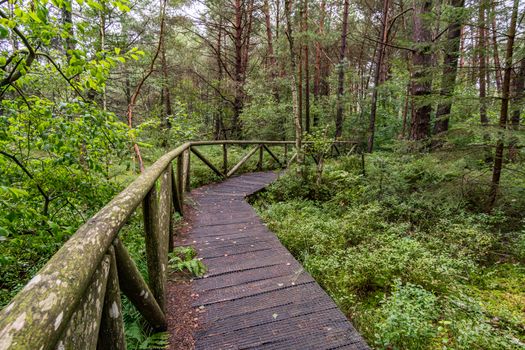 The beautiful nature reserve Wilhelmsdorf Pfrunger Ried in Upper Swabia near Ravensburg and Lake Constance