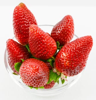 original italian strawberries from basilicata countryside