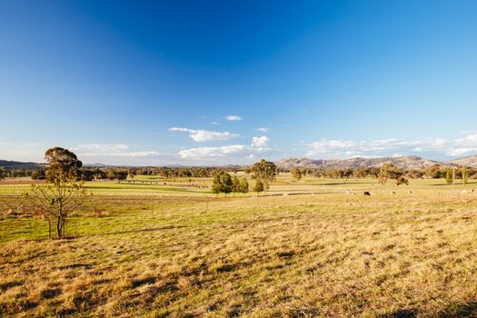 Classic Australian landscape in Allans Flat, near Yackandandah in Victoria Australia