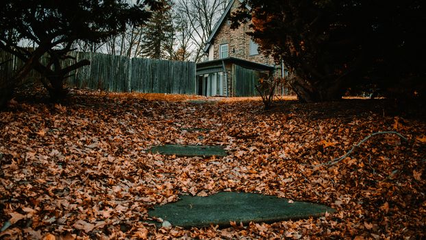 A Path Covered in Orange, Red, and Yellow Leaves Leading Up to a Hole in a Fence that leads into a backyard