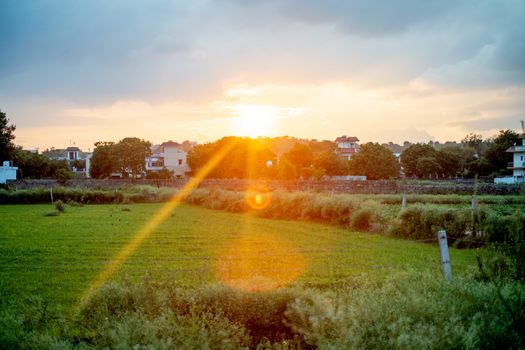 Sunset sunrise shot of indian farm with wheat grain growing buildings in the distance and then sun setting on a cloudy sky. Shows the beautiful rural scenes of india with lush green feilds and clean fresh air