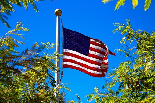 Stars and stripes fluttering among green trees blue sky background.