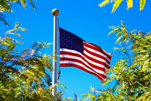 Stars and stripes fluttering among green trees blue sky background.