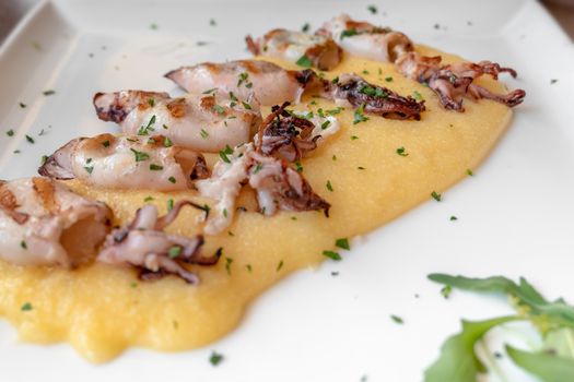 Grilled cuttlefish with polenta and salad. Typical italian fish dish of the upper Adriatic Sea. Close-up with selective focus. Shallow DOF.