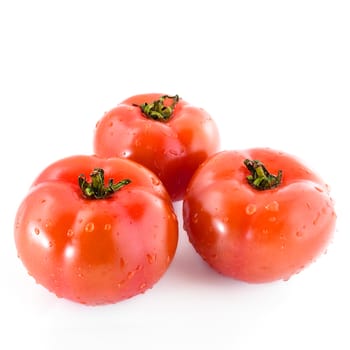 Tomatoes isolated on white background