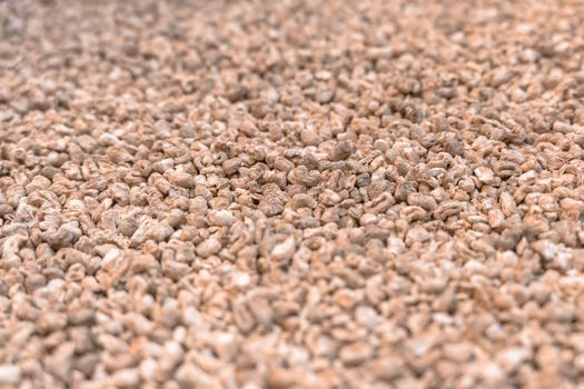 Corn cob litter background. Pet bedding for small animal, rodents, hamsters and bird. Selective focus. Shallow DOF.