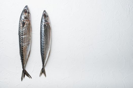 Raw fish on white textured background, flat lay with space for text.