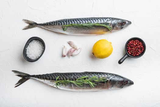 Raw mackerel on white textured background, top view.