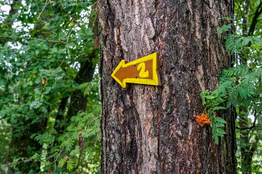 The beautiful nature reserve Wilhelmsdorf Pfrunger Ried in Upper Swabia near Ravensburg and Lake Constance