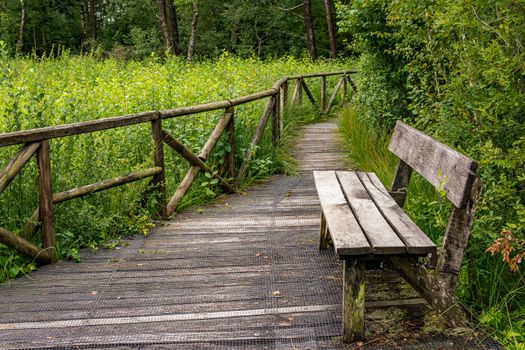 The beautiful nature reserve Wilhelmsdorf Pfrunger Ried in Upper Swabia near Ravensburg and Lake Constance