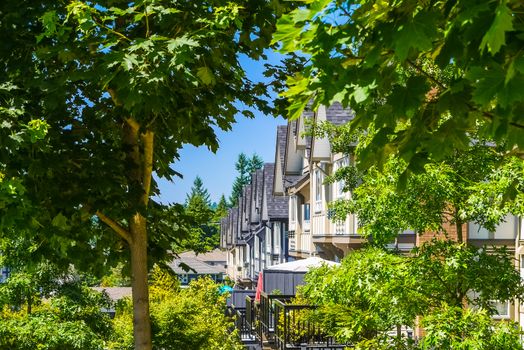 Perspective look at row of new townhouses surrounded by tree's leaves