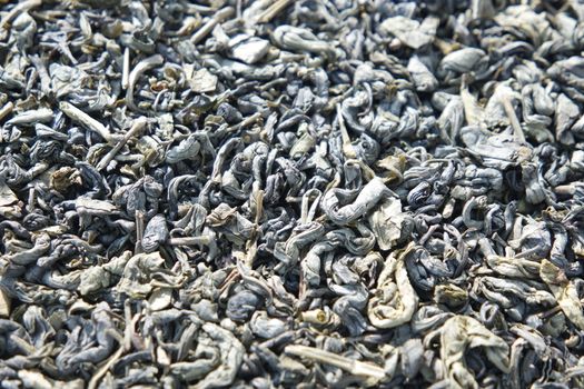 Close-up view of green tea dried leaves. Green tea or stevia rebaudiana leaves are of great medical importance for health.