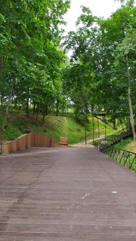 Wooden bridge in beautiful green forest