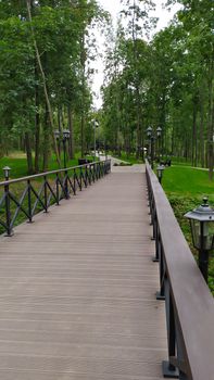 Wooden bridge in beautiful green forest