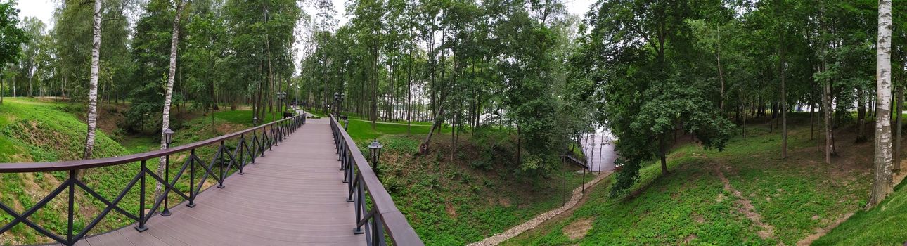 Wooden bridge in beautiful green forest