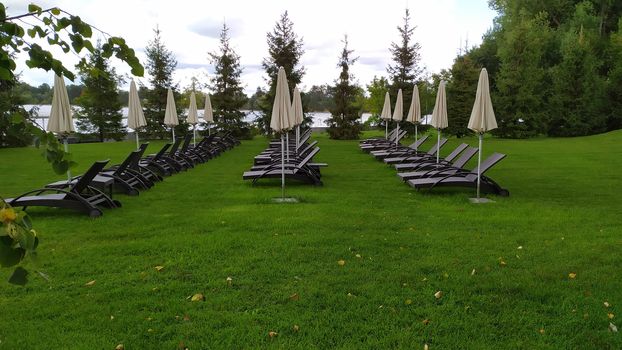 Wooden deck chairs on the green grass.