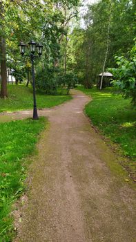 Gravel walking trail through forest, hiking trail, nature walk concept, green trees, plants on either side of pathway. Well maintained footpath through natural surroundings