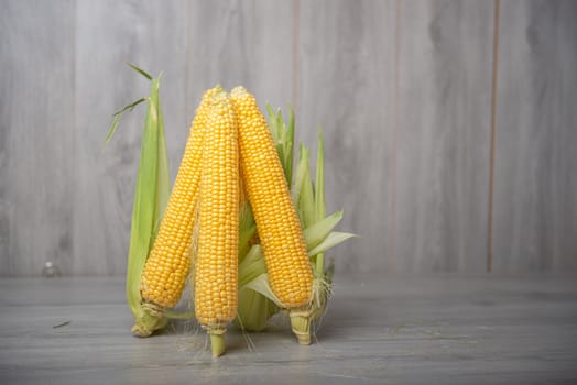 Group of raw corn cob with husks on a wooden background with copyspace