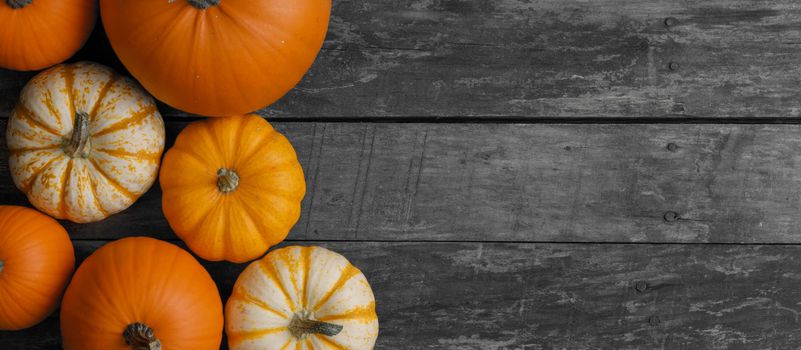 Autumn border of pumpkins on wood background with copy space