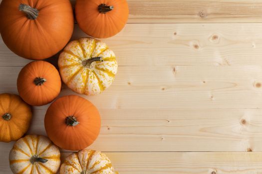 Many orange pumpkins on light wooden background , Halloween concept , top view with copy space