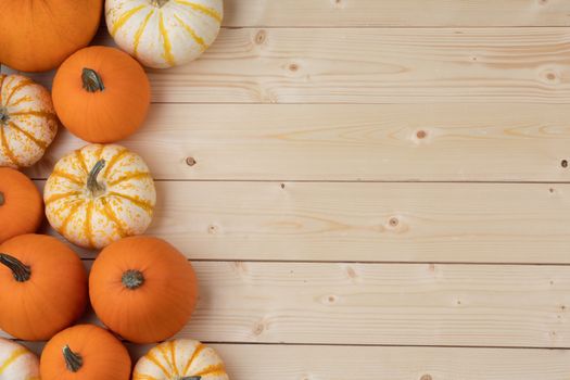 Many orange pumpkins on light wooden background , Halloween concept , top view with copy space