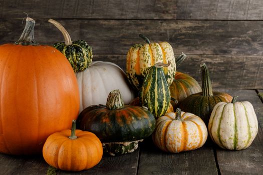 Many colorful pumpkins on rustic wooden background , autumn harvest, Halloween or Thanksgiving concept