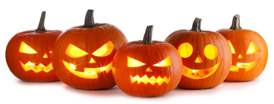 Five Halloween Pumpkins isolated on white background