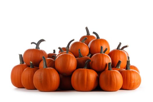 Heap of many orange pumpkins on white background , Halloween concept , copy space for text