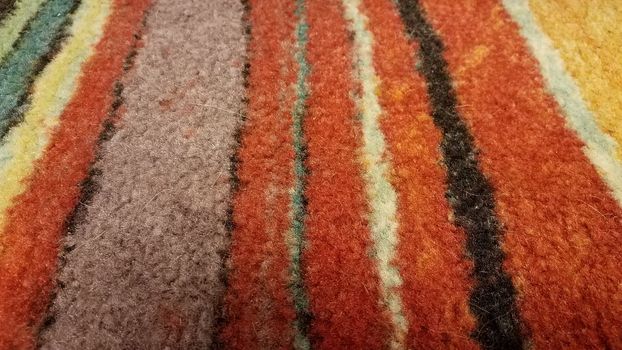 colorful carpet or rug with dog or cat hair