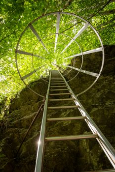 Climbing up a ladder with protection railing against the rocks, straight up into the trees and sunlight. Hiking and adventure in the forrest.