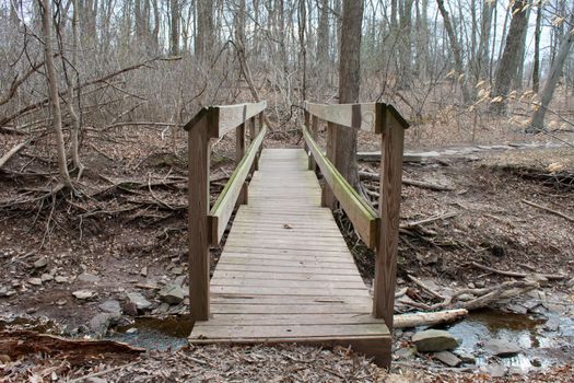 A Wooden Footbridge Crossing a Shallow Creek in a Dead Winter Forest