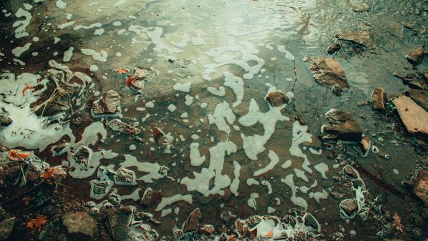 Foamy Water on the side of a river with rocks in the bottom of the frame