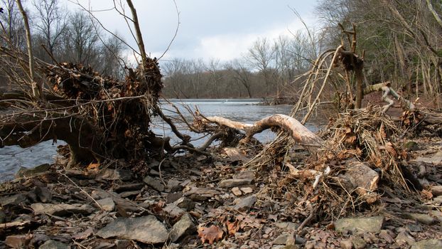 A Fallen Tree Next to a River With a Man-Made Damn in the Background