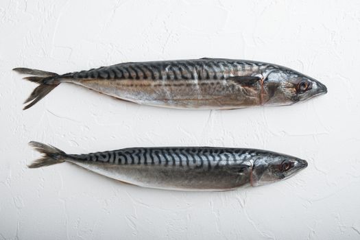 Mackerel on white textured background, flat lay.