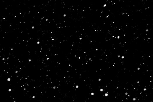 Snow on black background. Falling snow