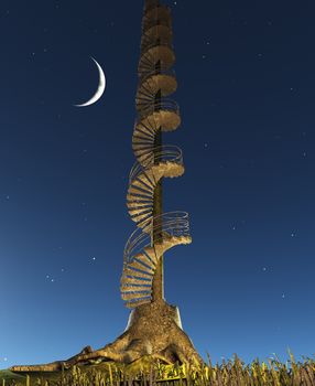 Circular Staircase rises into twilight sky from Tree Stump. 3D rendering