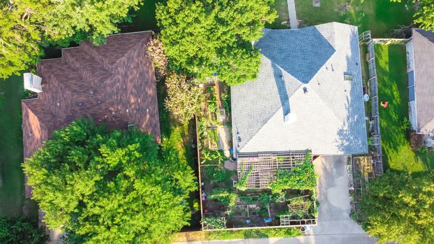 Aerial view Asian backyard garden in detached single family house near Dallas, Texas, America