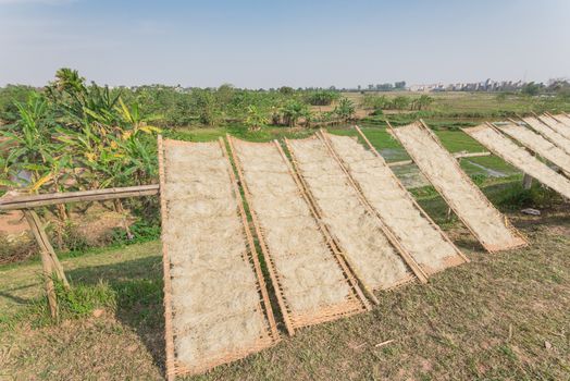 Homemade Vietnamese rice vermicelli drying in the sunlight on bamboo fences near banana farm outside of Hanoi, Vietnam. Special organic noodles are being dried naturally